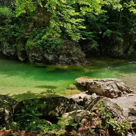 Cozy Little Appartamento