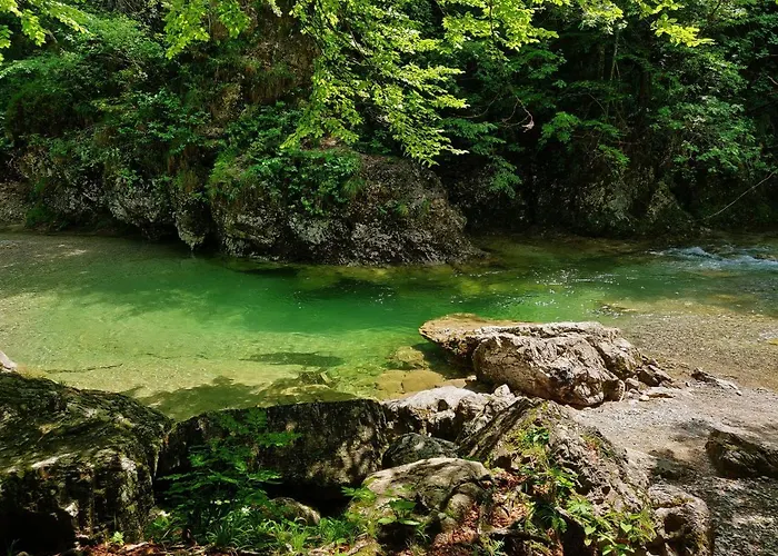 Cozy Little דירה